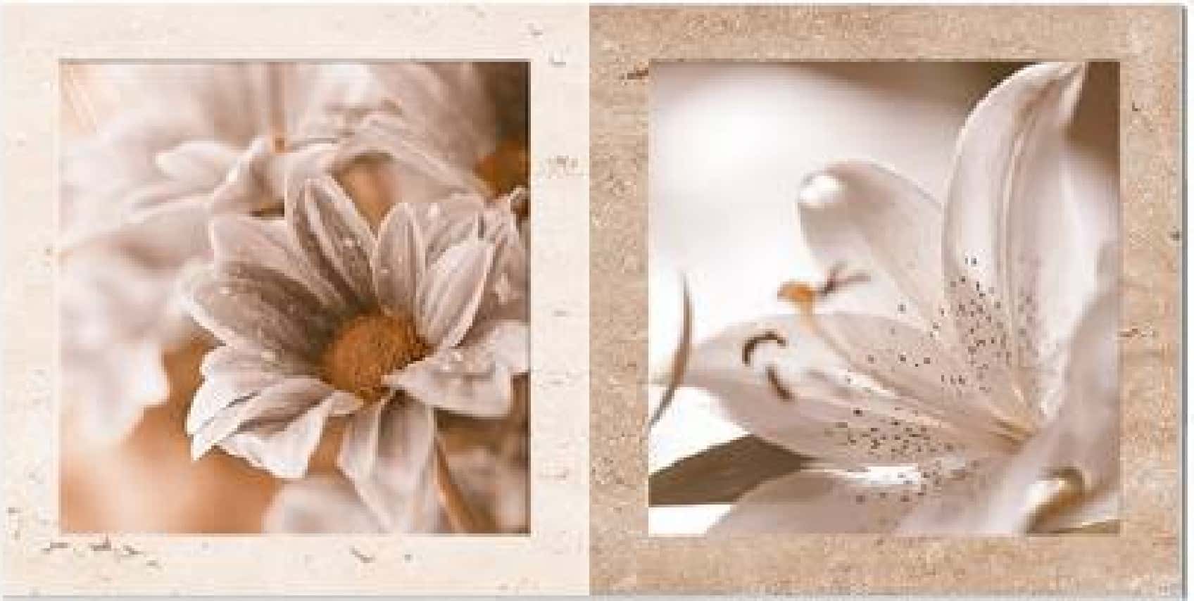 Faianță 30186-HL-TV, fotografia placii din catalog