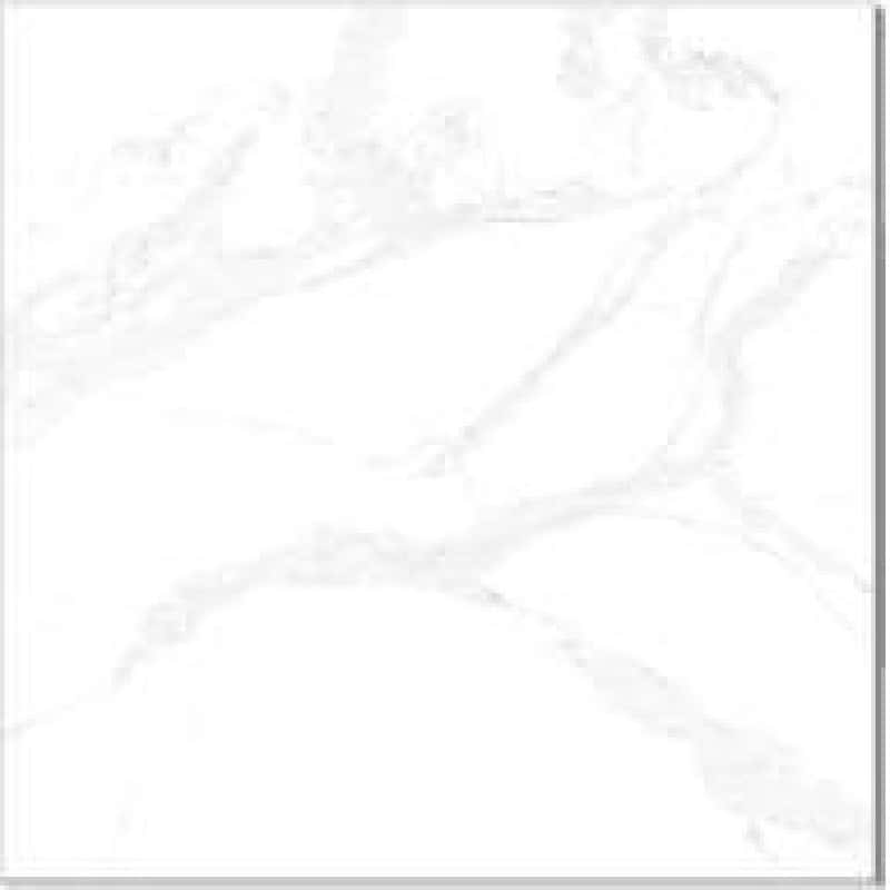 Ac-12219 Lt Floor, fotografia placii din catalog