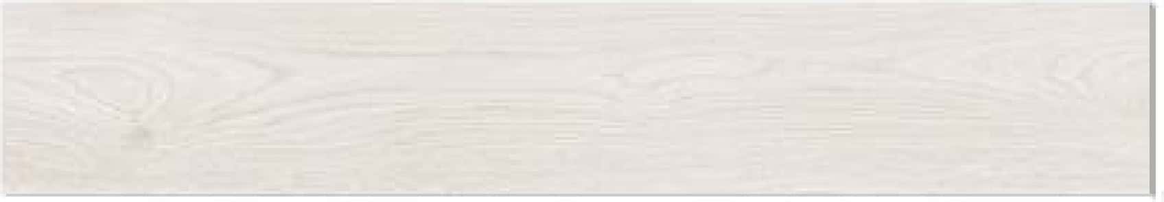 African Wood White, fotografia placii din catalog