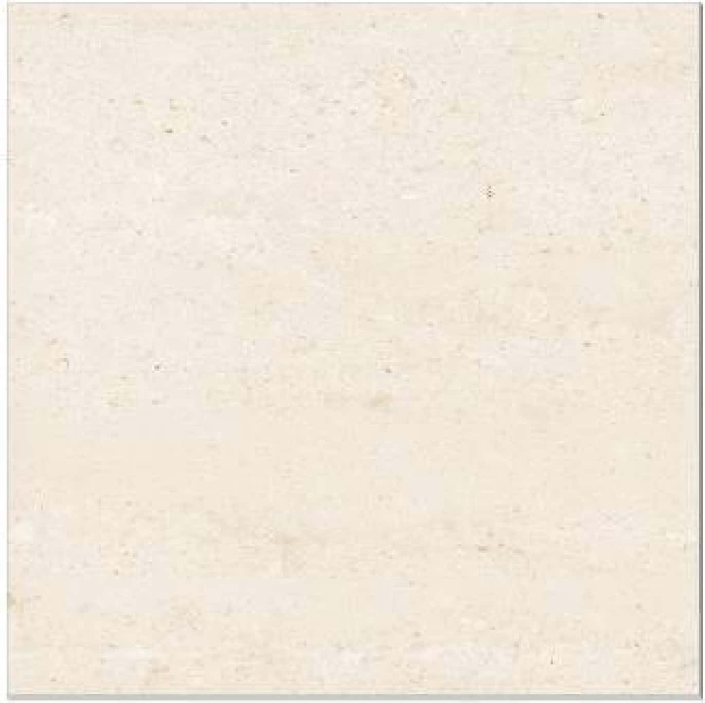 Aldo Beige, fotografia placii din catalog