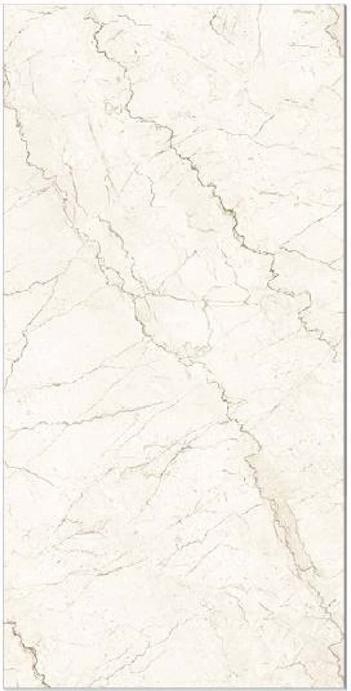 Bottochino White, fotografia placii din catalog