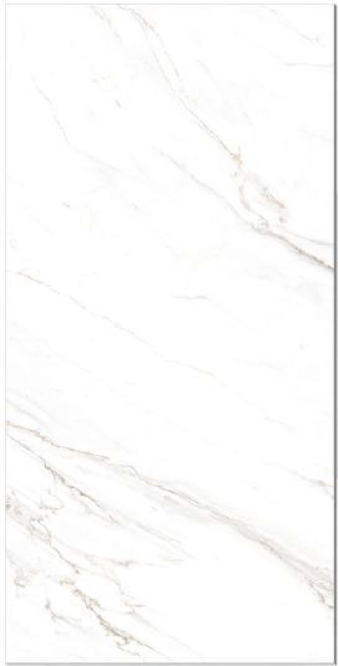 Carved Carrara Grande, fotografia placii din catalog