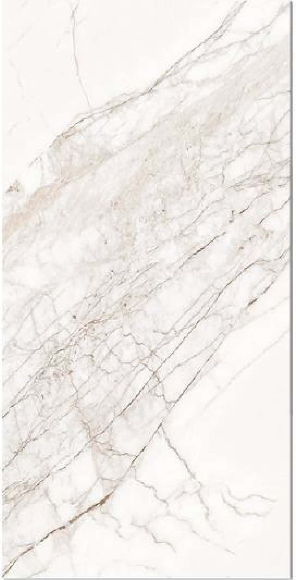 Craft Spider White, fotografia placii din catalog