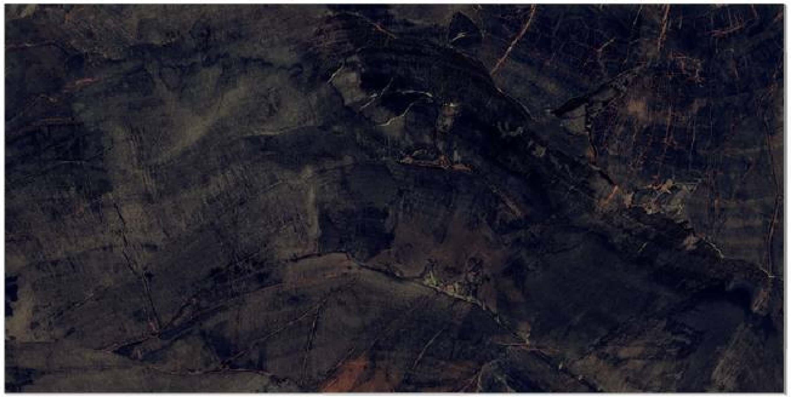 Fossil Agate, fotografia placii din catalog