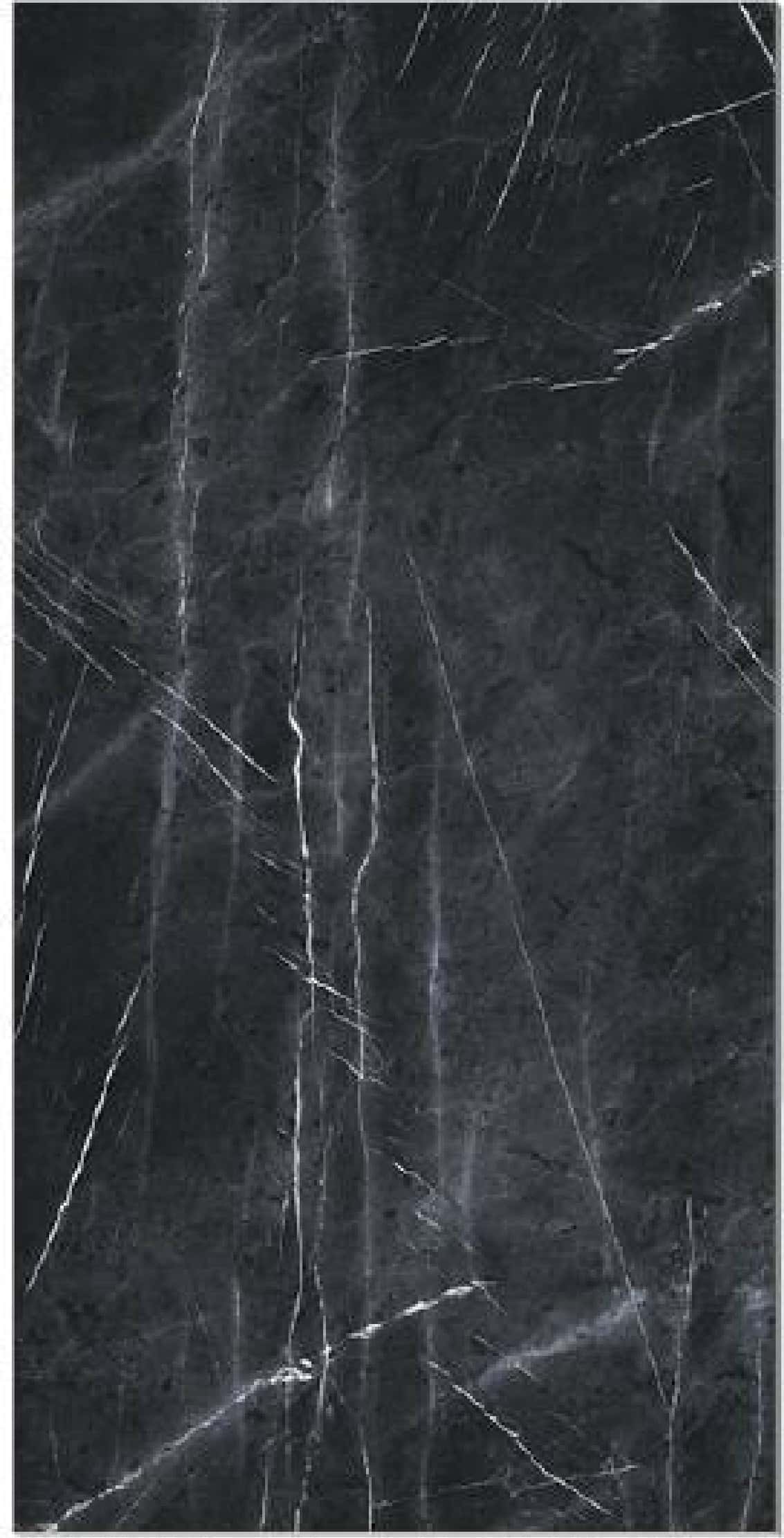Gaia Black, fotografia placii din catalog