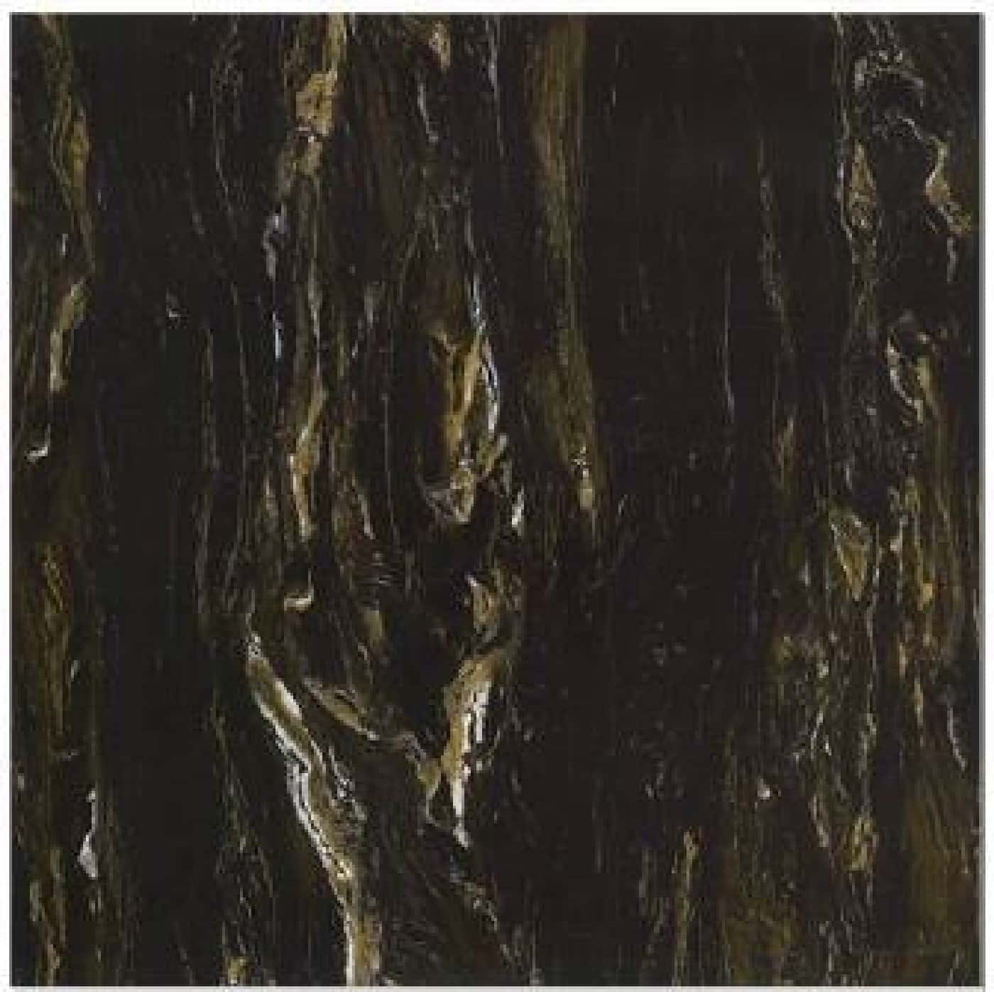 Gresie JBN83136D, fotografia placii din catalog