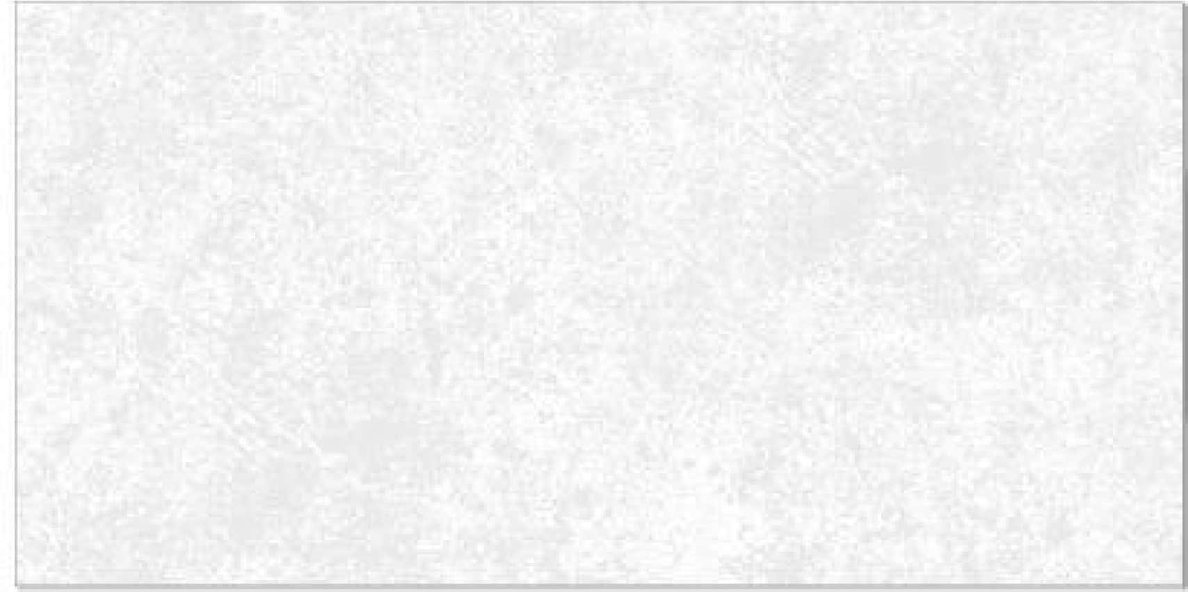 Metro White, fotografia placii din catalog