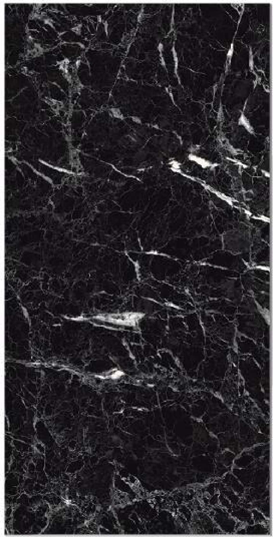 New Black Emperador, fotografia placii din catalog