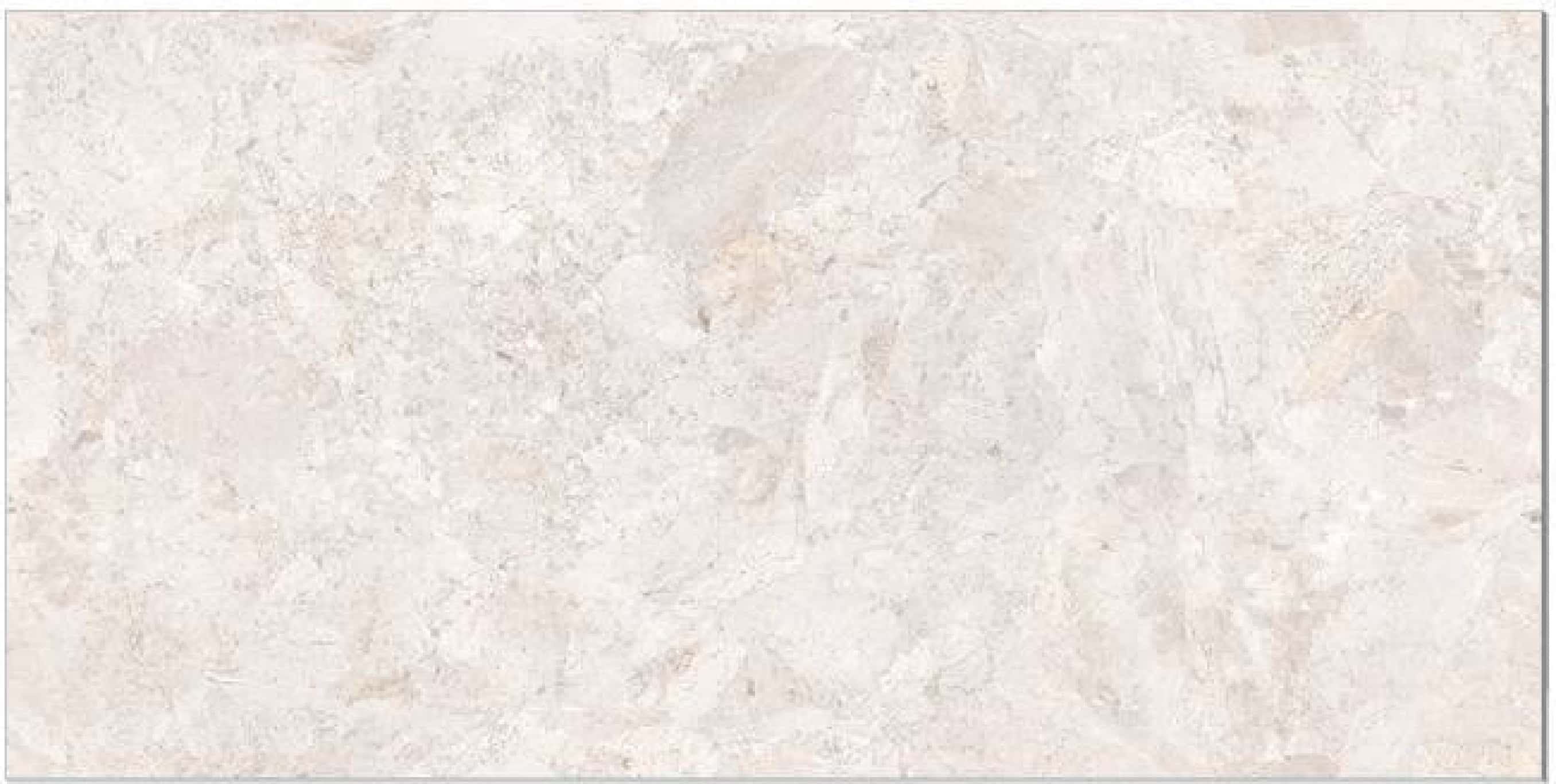 Rizzont Bianco, fotografia placii din catalog