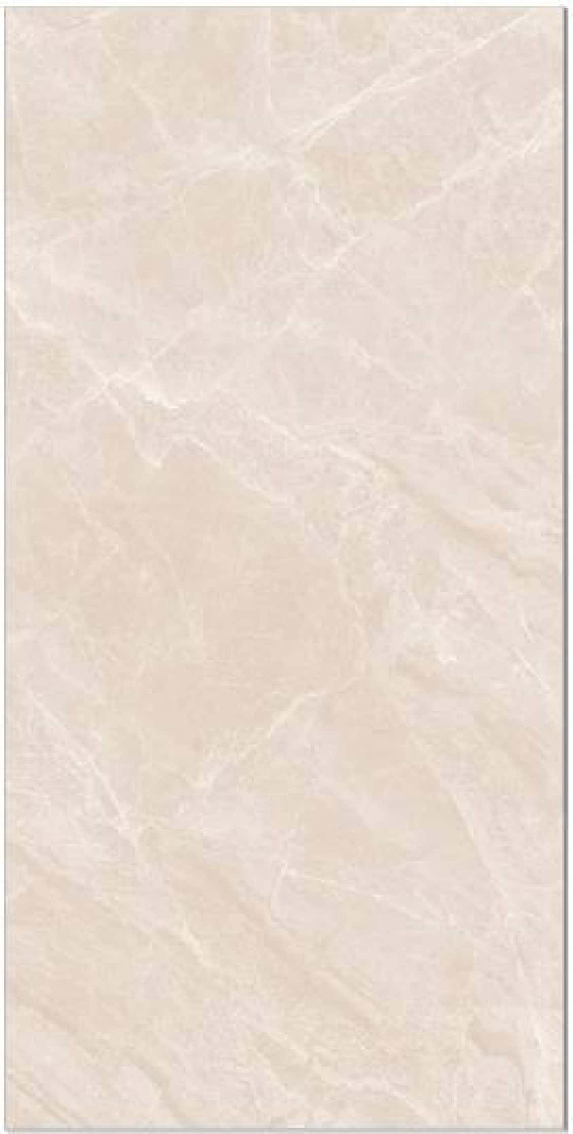 Saga Beige, fotografia placii din catalog