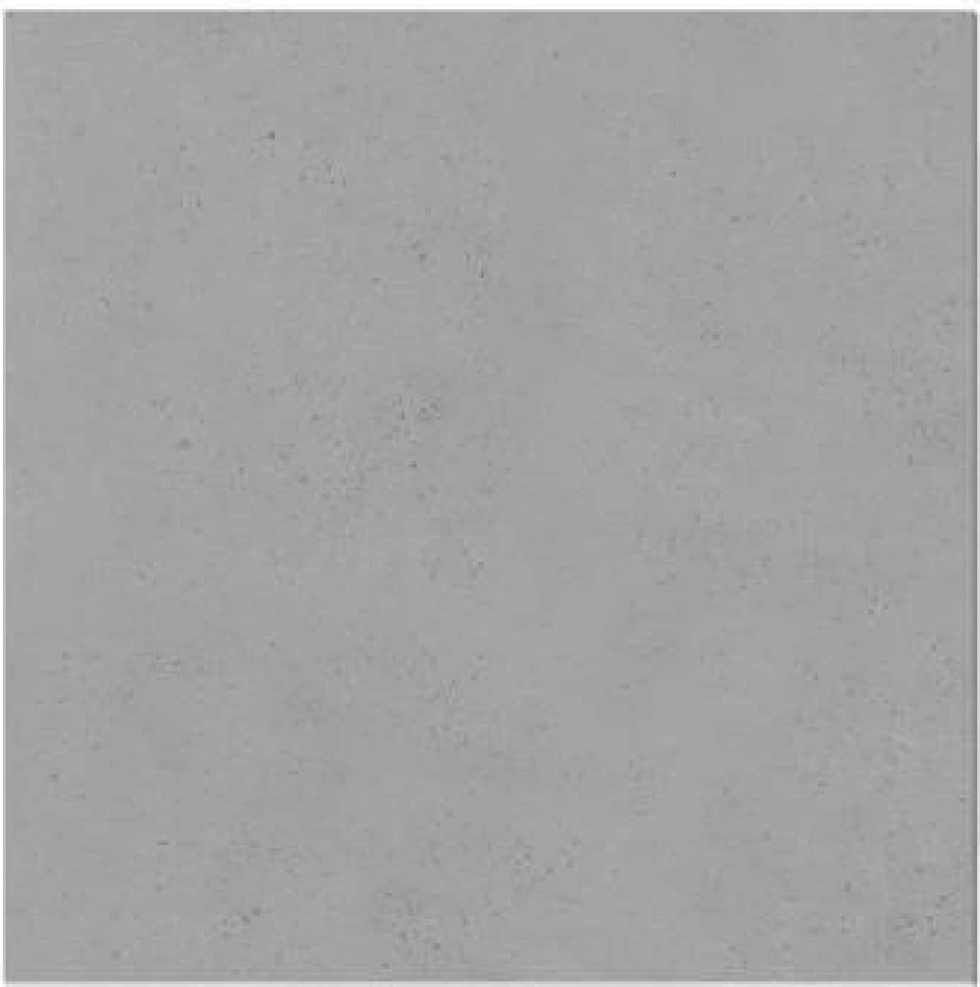 Stone Rock Gray, fotografia placii din catalog