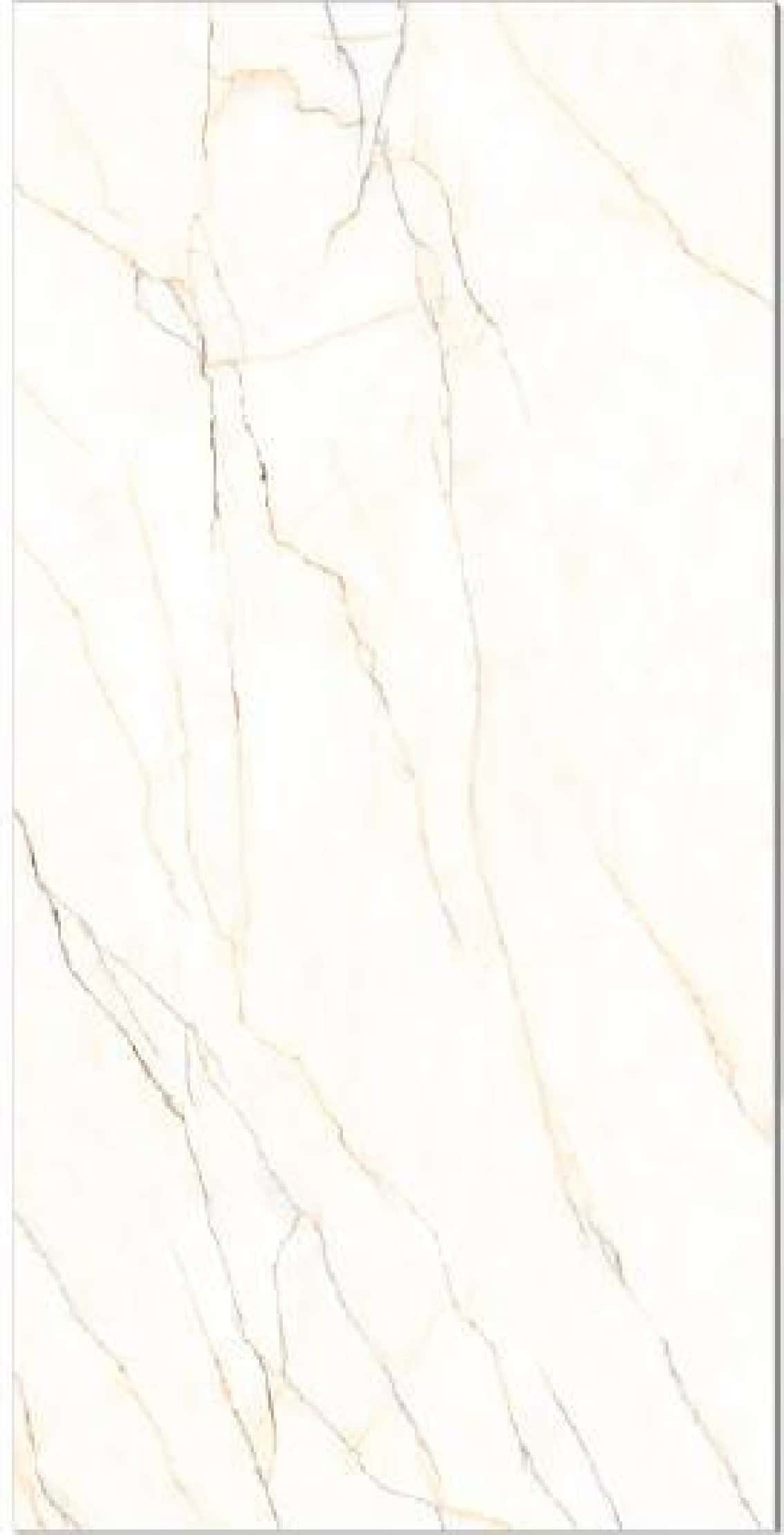 Venatino Bianco, fotografia placii din catalog