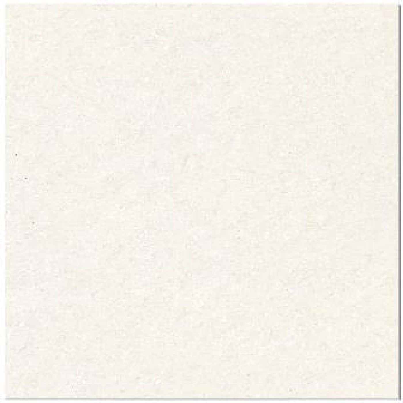 Gresie W6B603, fotografia placii din catalog