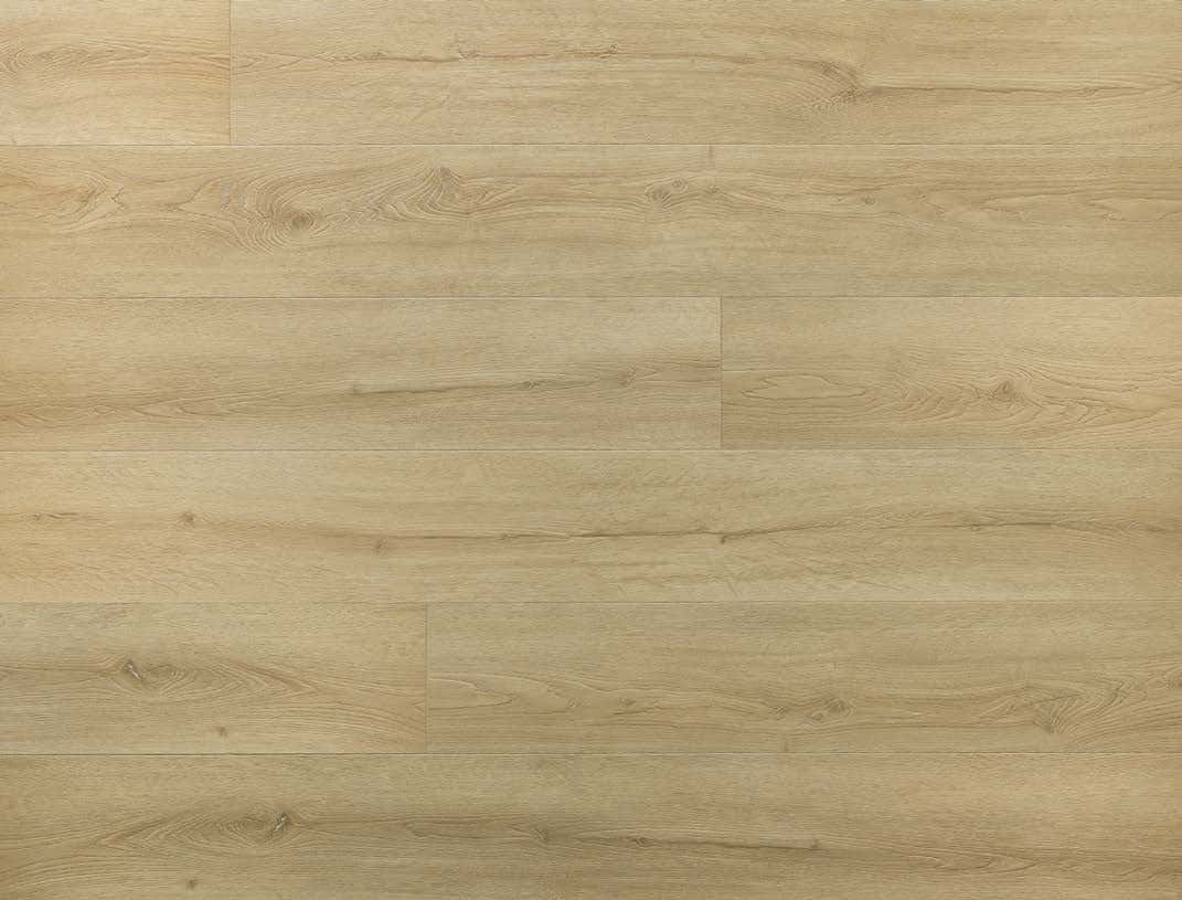 Chevalier Oak - textură