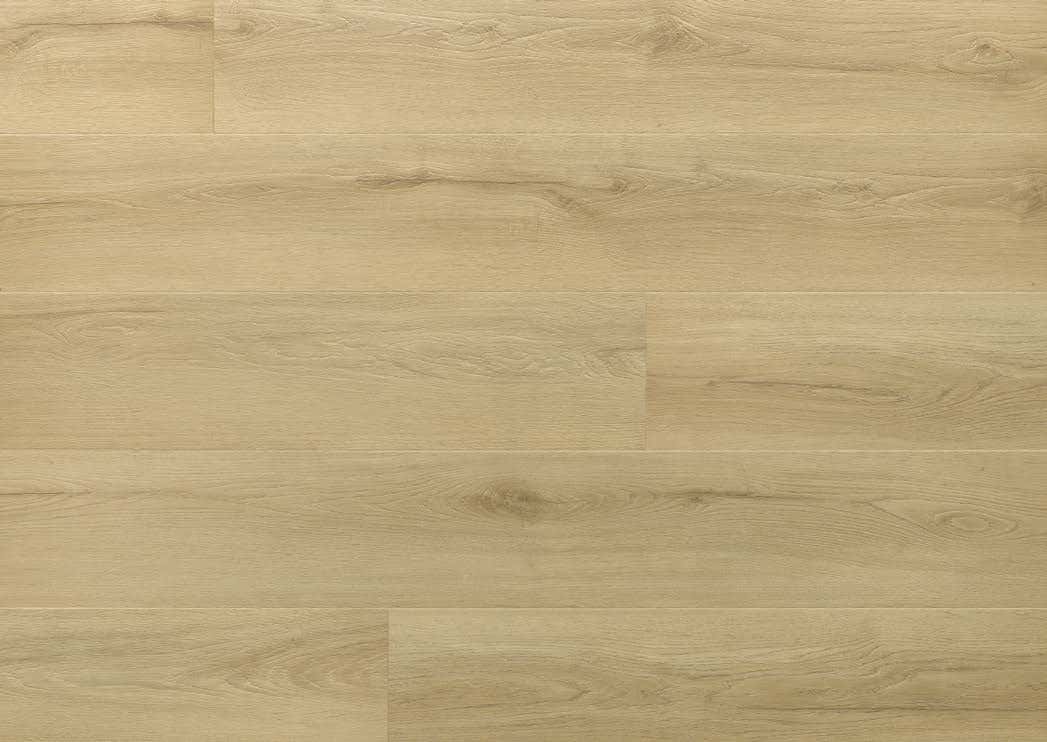 Princeton Oak - textură