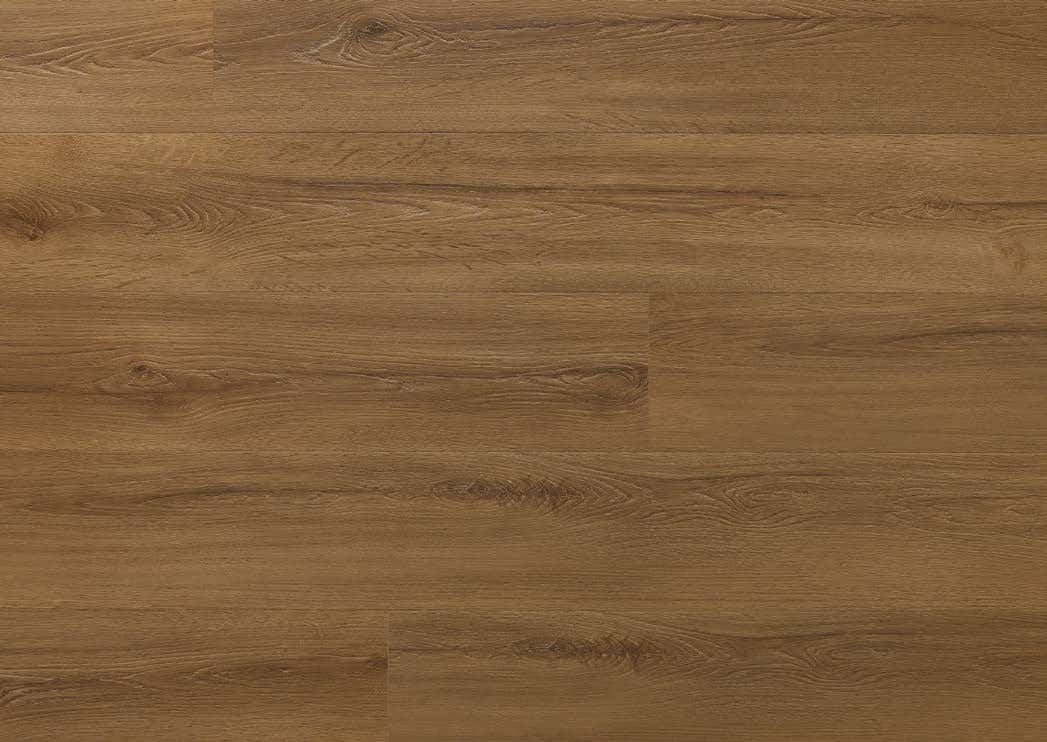 Rochester Oak - textură