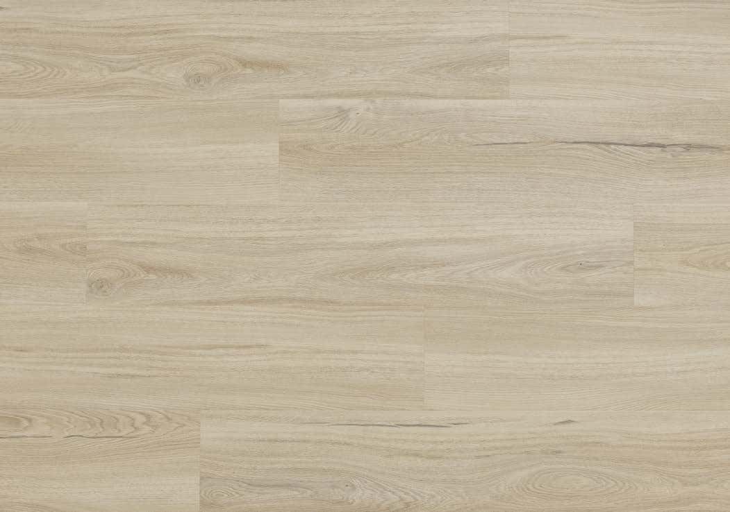 Salerno Oak - textură