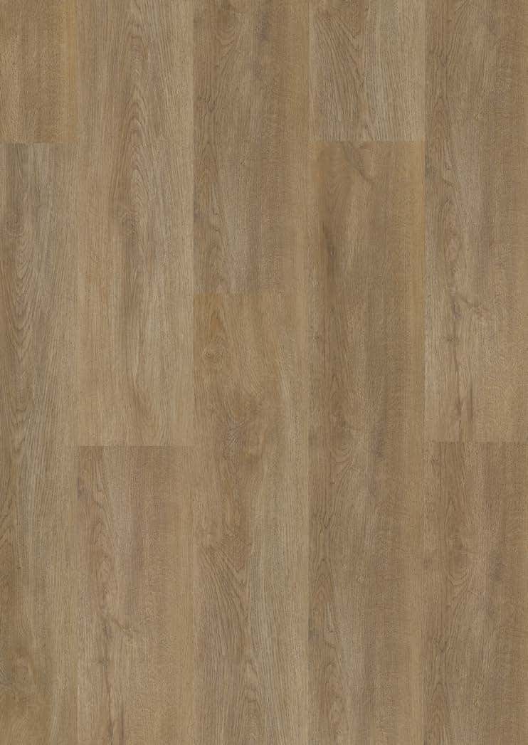 Sierra Oak - textură