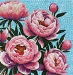 Peonies - textură