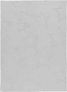 BAM 304 Silver - textură