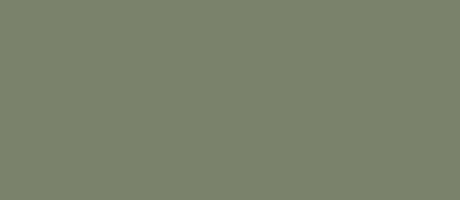 Cielo e Terra Verde - textură