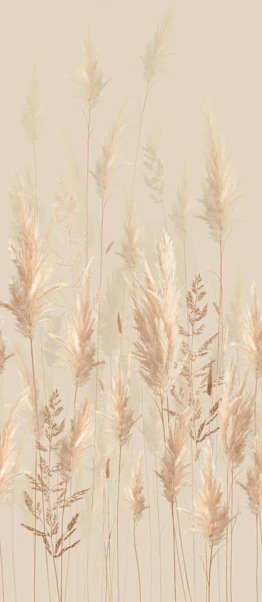 Natural Gras - textură