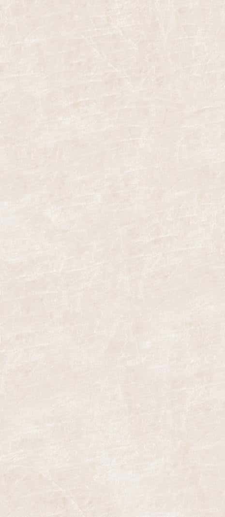 Palomino Beige - textură
