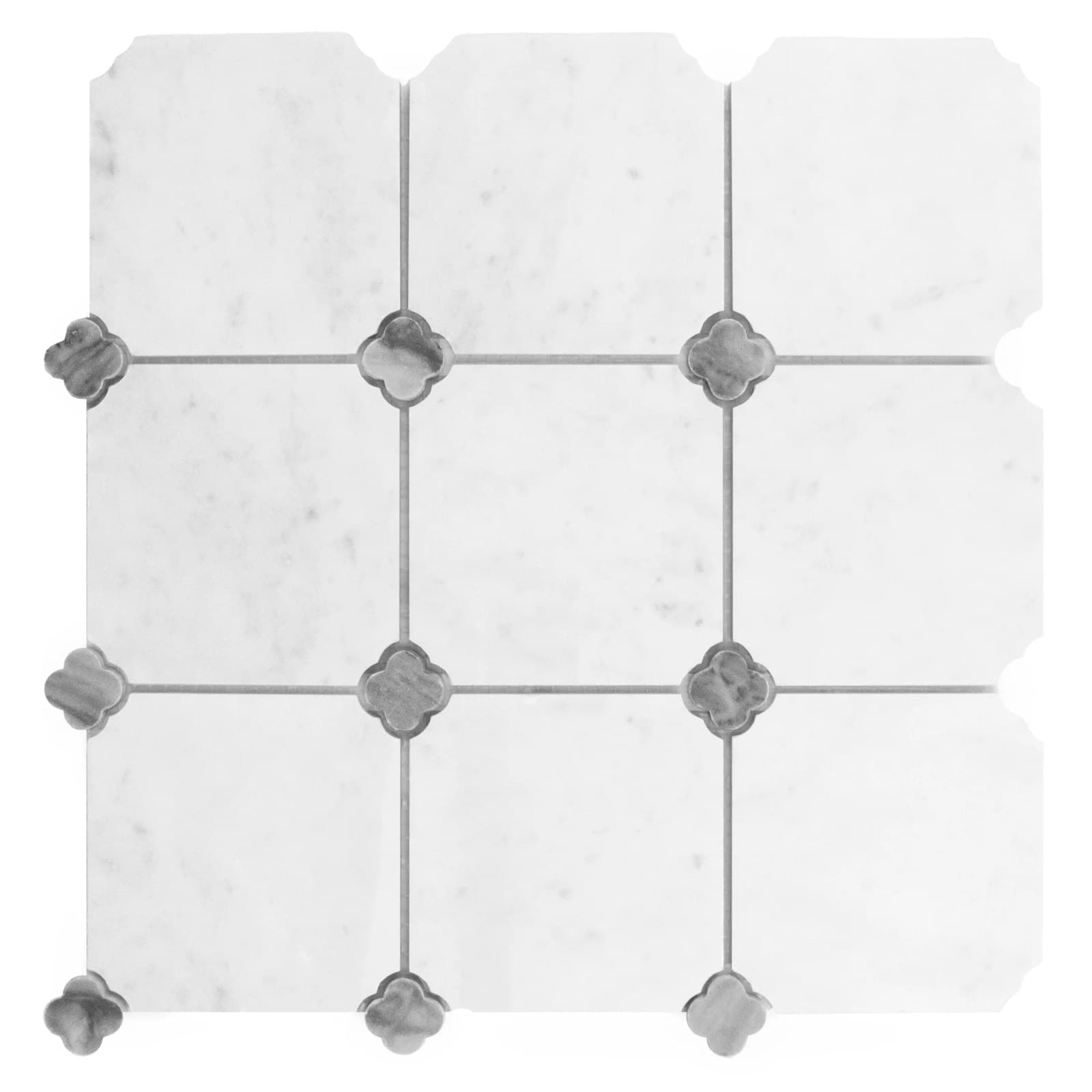 Carrara Octalux 100