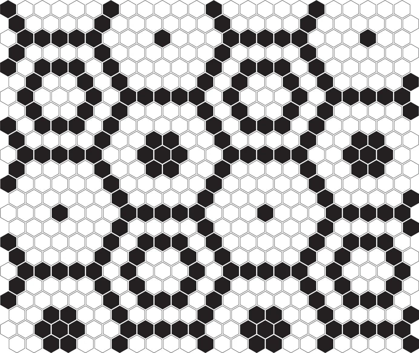 Mini Hexagon B&W Bee Premium matt - poza 4