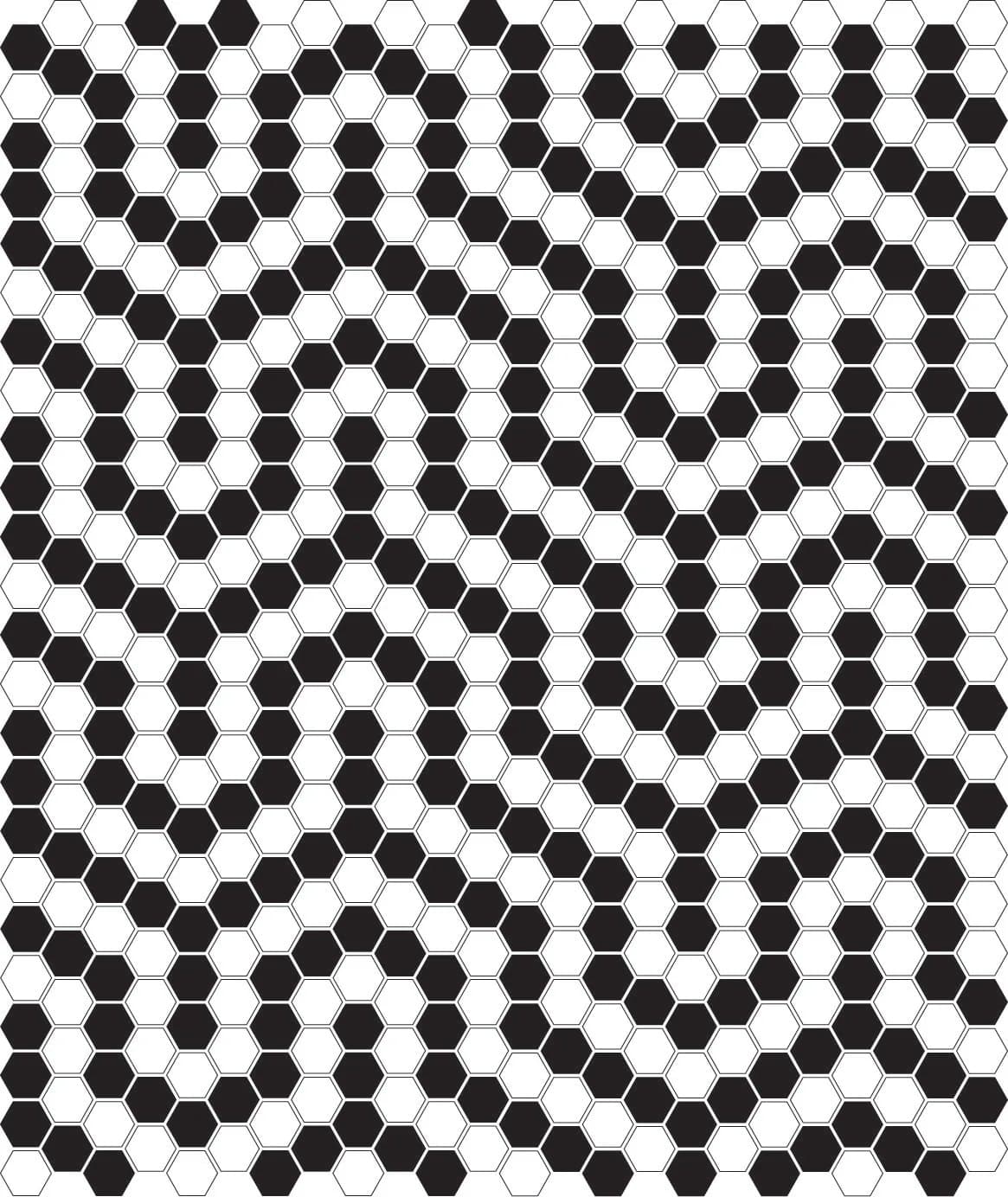 Mini Hexagon B&W Coral - poza 4