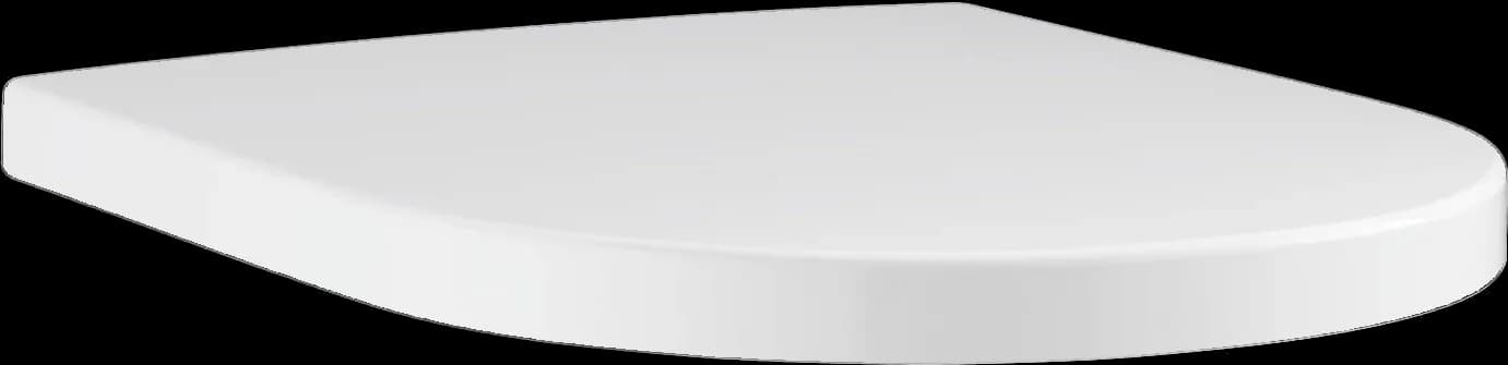 GROHE Euro Ceramic Colac vas WC cu închidere lentă