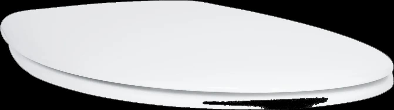 GROHE Bau Ceramic Colac vas WC cu închidere lentă