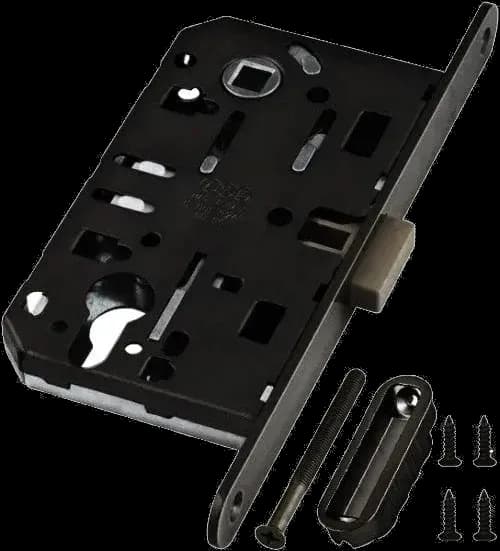 Broasca magnetica neagra roberto