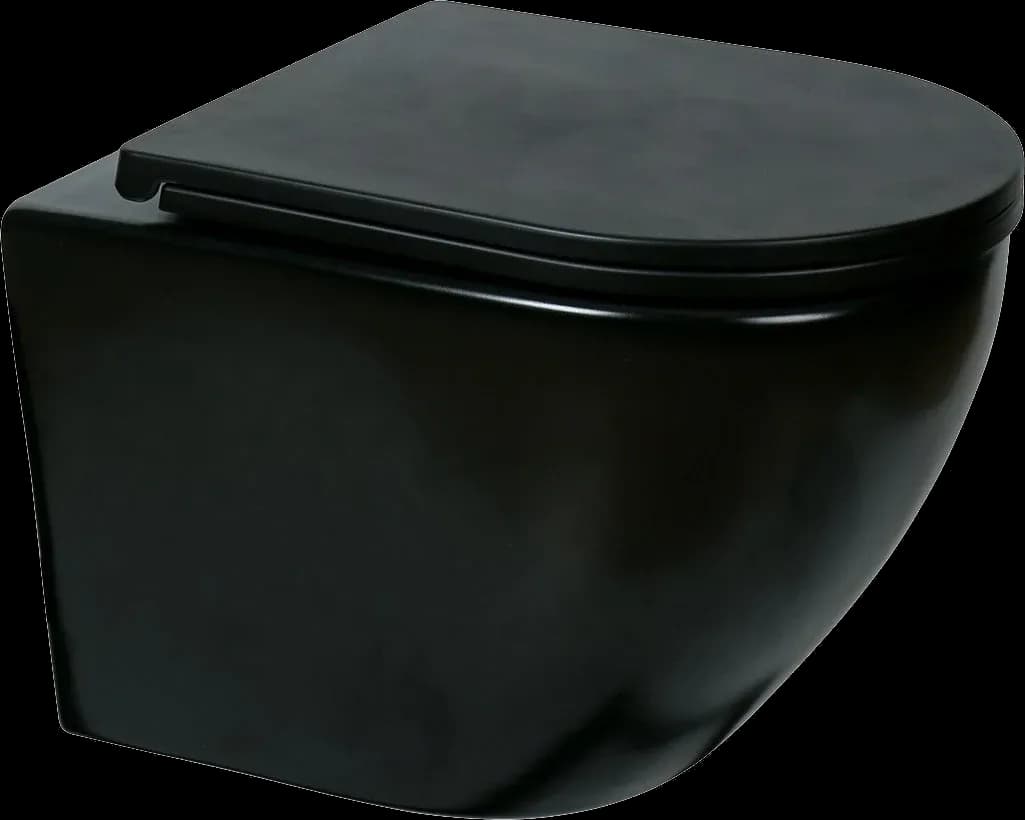Vas WC Suspendat Rimless - Black Matte