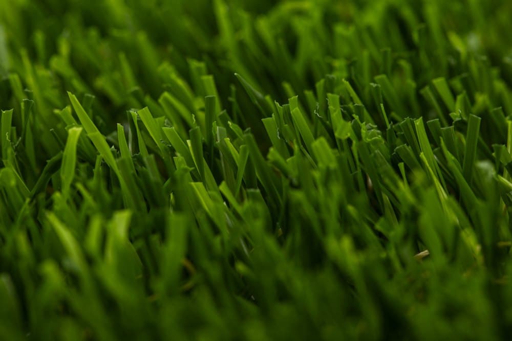 Iarbă artificială Yalva Moss Pear 6154
