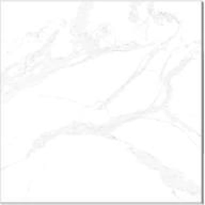 Ac-12219 Lt Floor, fotografia placii din catalog