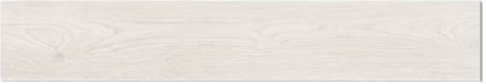 African Wood White, fotografia placii din catalog