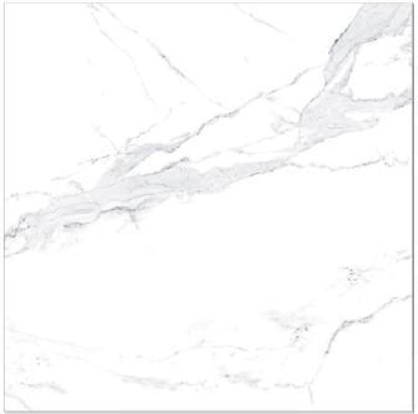 Avenzo Silver F P, fotografia placii din catalog