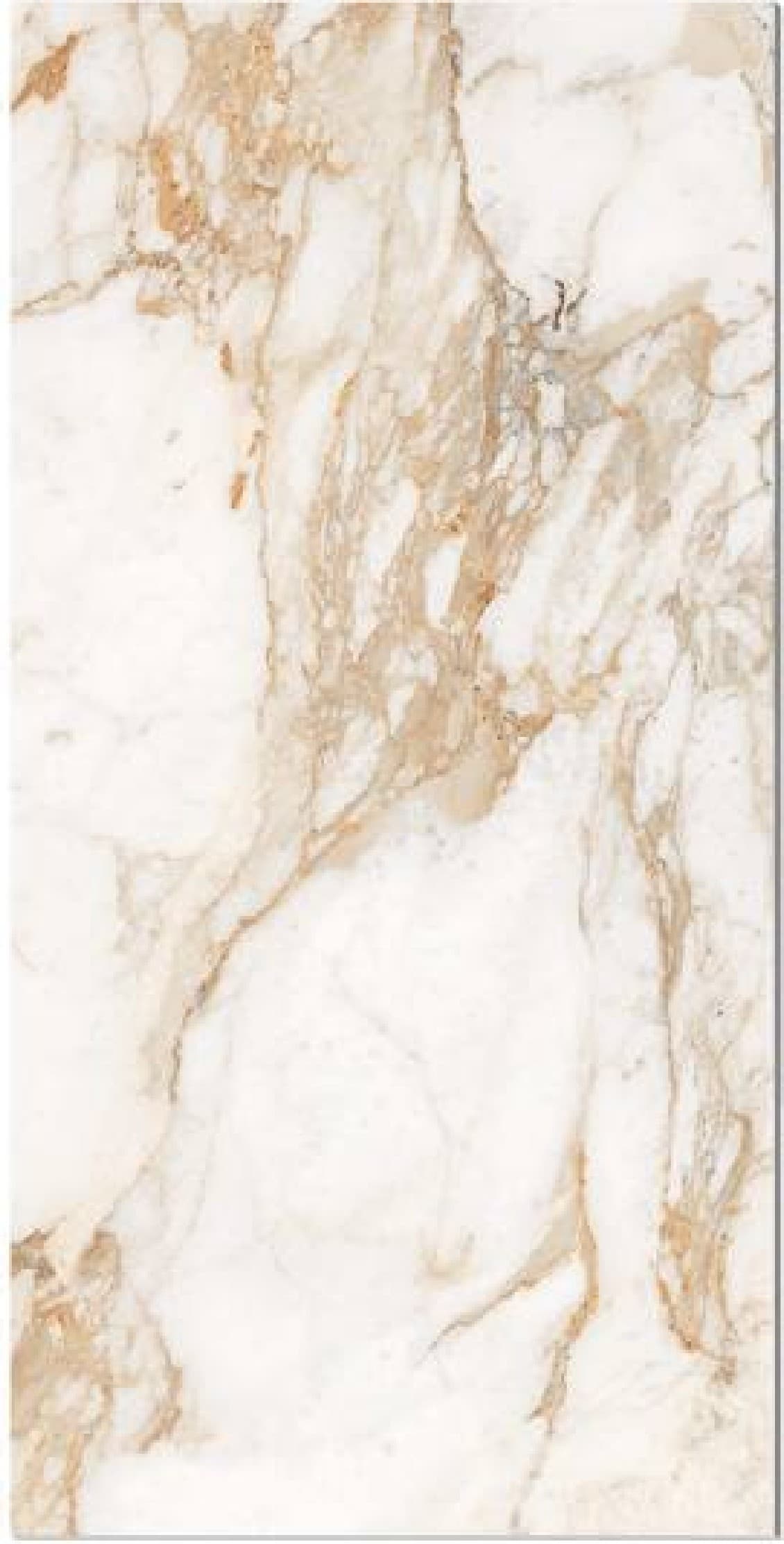 Calacatta Gold Grande, fotografia placii din catalog