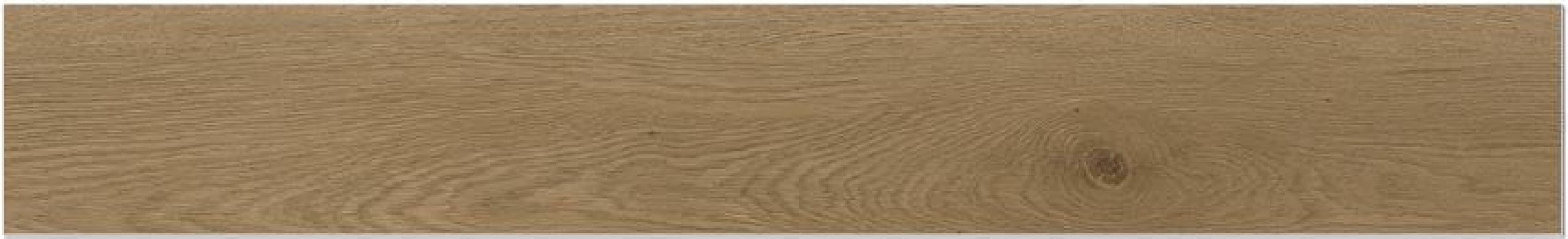 Cedar 0sc12218002, fotografia placii din catalog