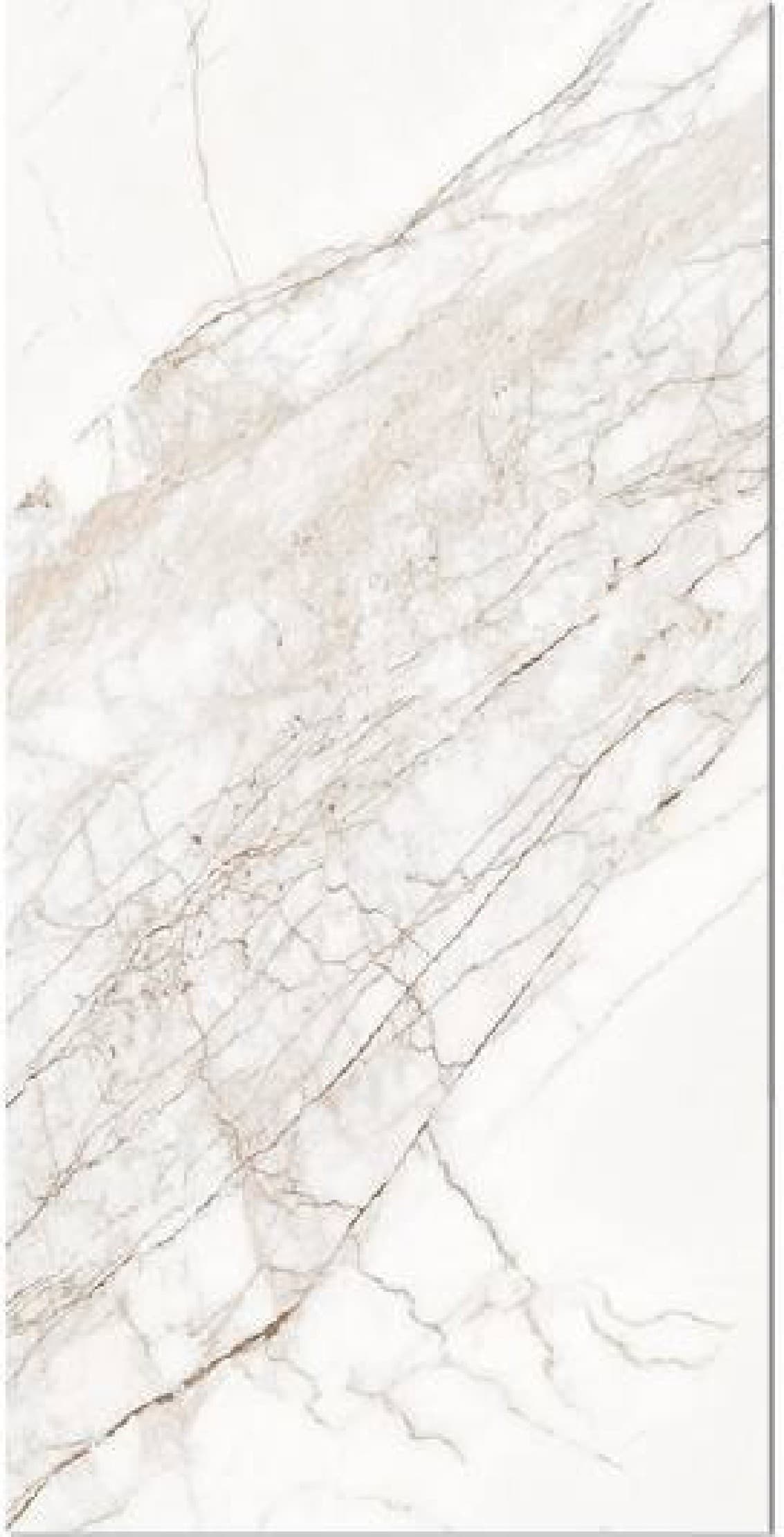 Craft Spider White, fotografia placii din catalog