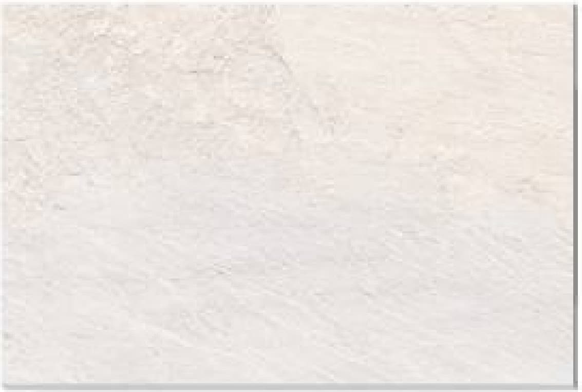 Faianță EXP-3006-LT, fotografia placii din catalog