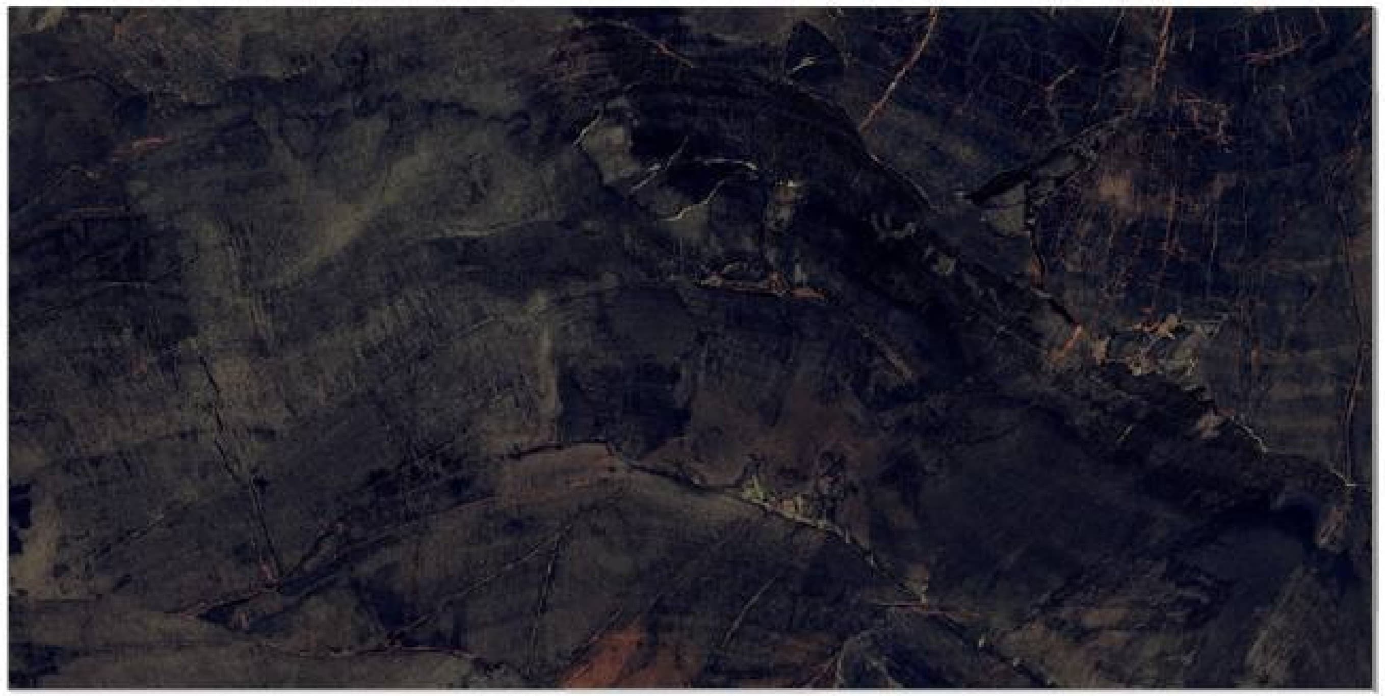 Fossil Agate, fotografia placii din catalog