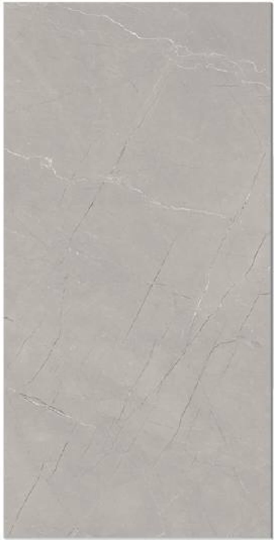 Geoberry Gris Sgr, fotografia placii din catalog