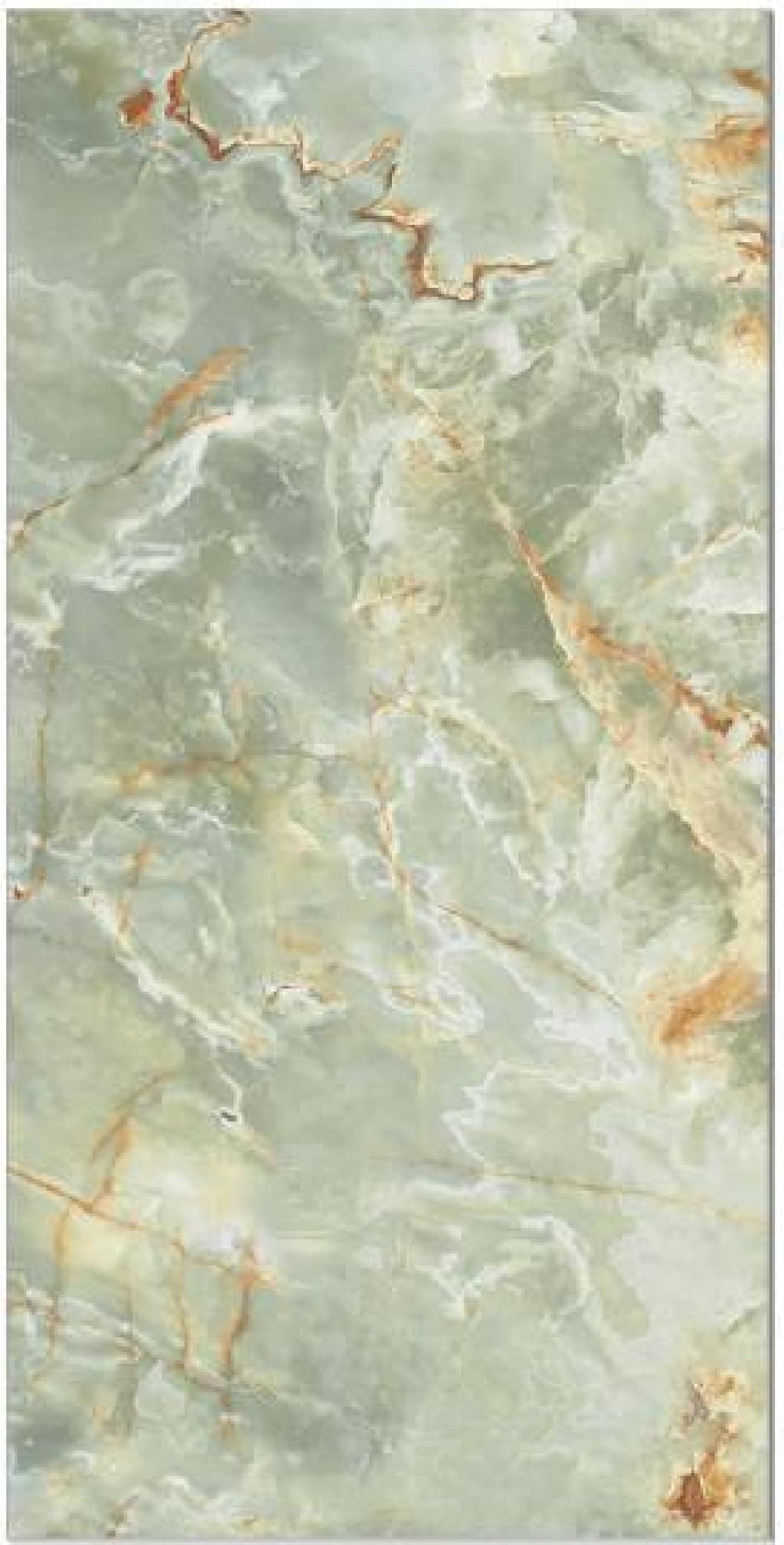 Hg Delicatus Onyx Oliv!, fotografia placii din catalog