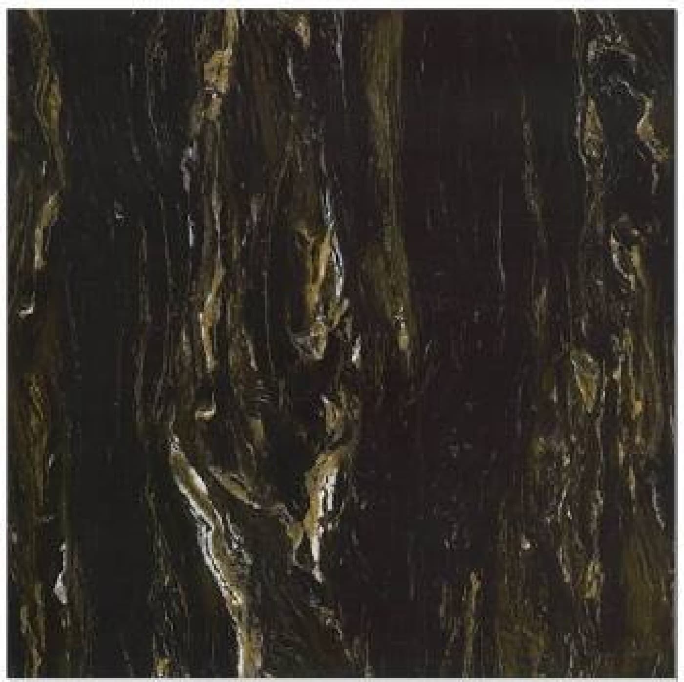 Gresie JBN83136D, fotografia placii din catalog