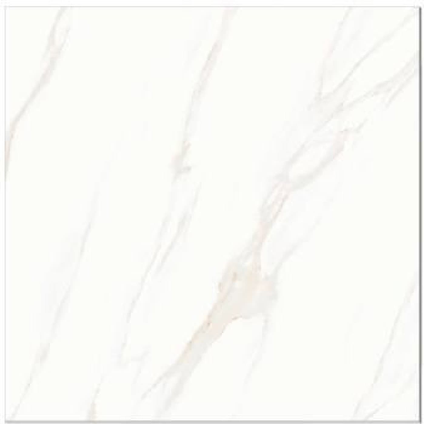 Gresie JBN83639D, fotografia placii din catalog