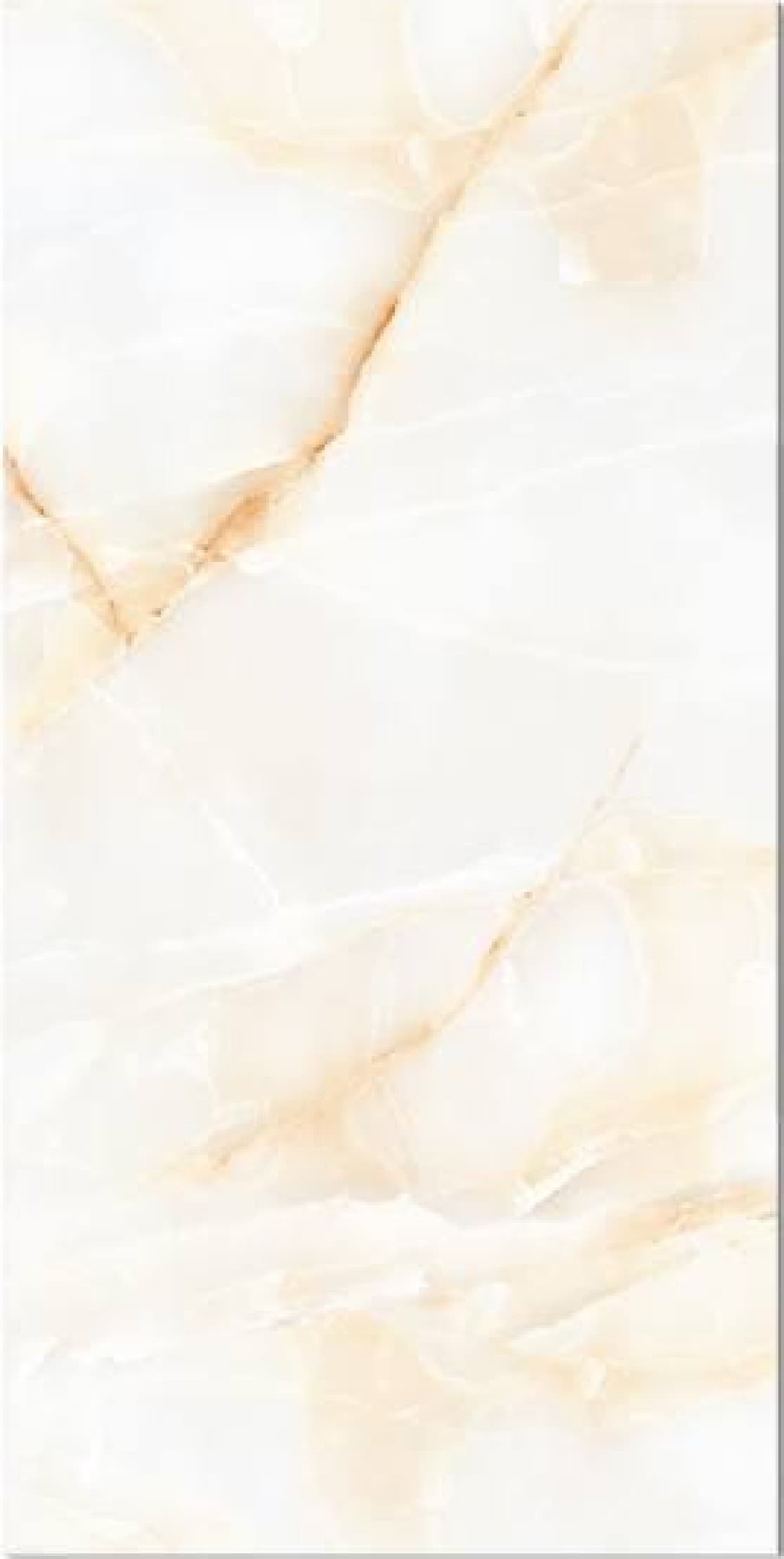 Jeny Beige, fotografia placii din catalog