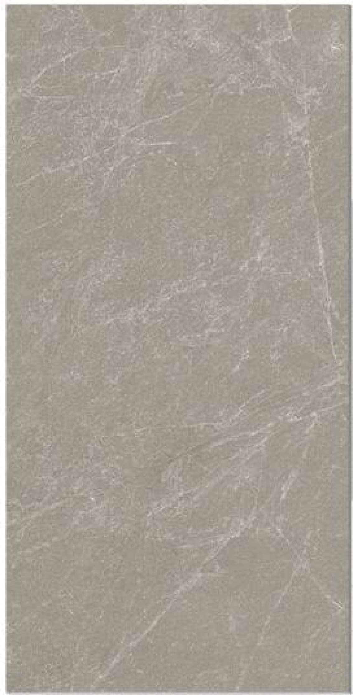 Mendoza Grey, fotografia placii din catalog