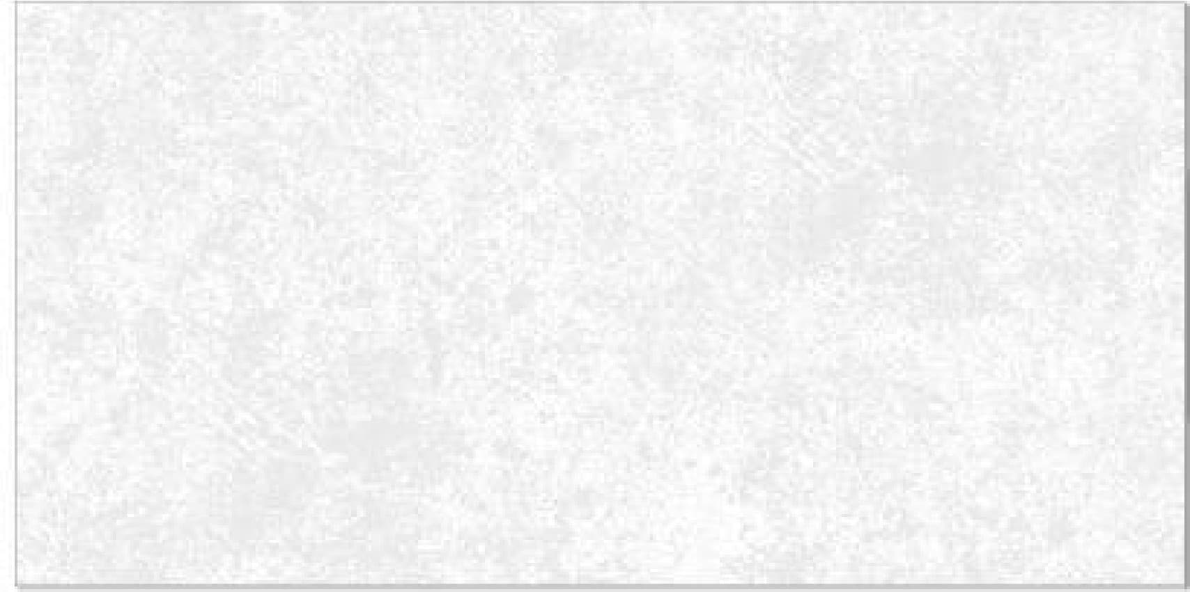 Metro White, fotografia placii din catalog